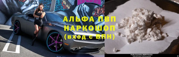 стафф Володарск