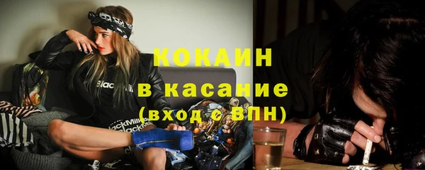 стафф Володарск