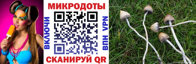 Псилоцибиновые грибы Cubensis  Петушки 